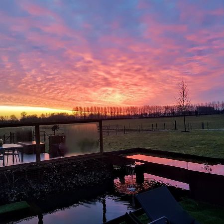 B&B Finis Terrae Lokeren Exteriör bild
